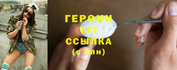 сатива Новозыбков