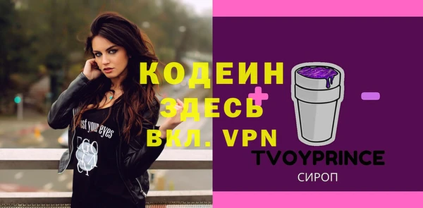 сатива Новозыбков