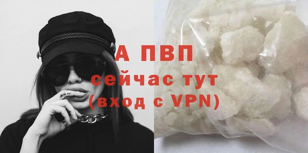 стафф Нефтекумск