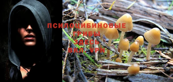 мескалин Новокубанск