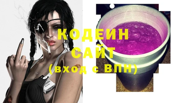 сатива Новозыбков
