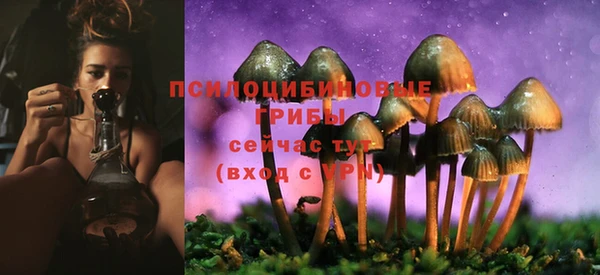 амфетамин Нея