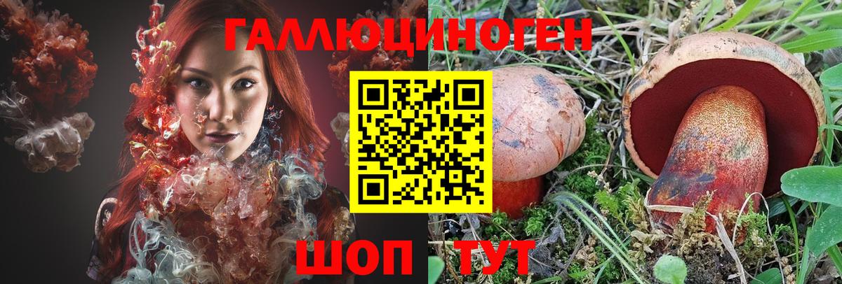 Галлюциногенные грибы Psilocybine cubensis  Урюпинск 