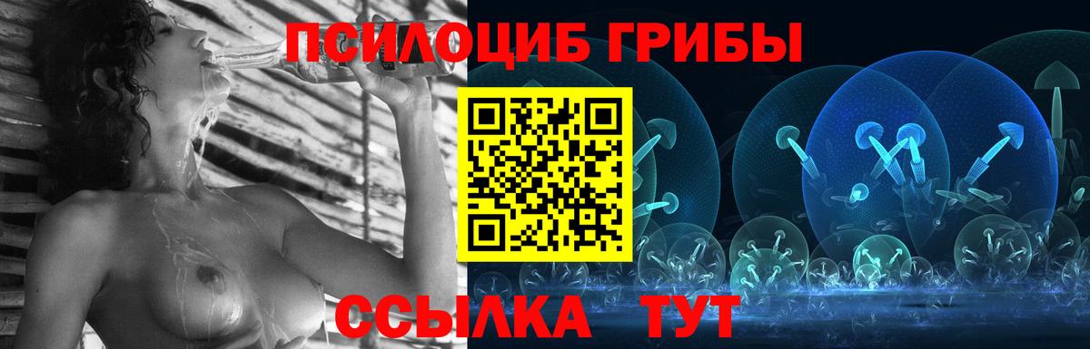 Галлюциногенные грибы MAGIC MUSHROOMS  Галлюциногенные грибы Magic Shrooms  Урюпинск  Вход с VPN 